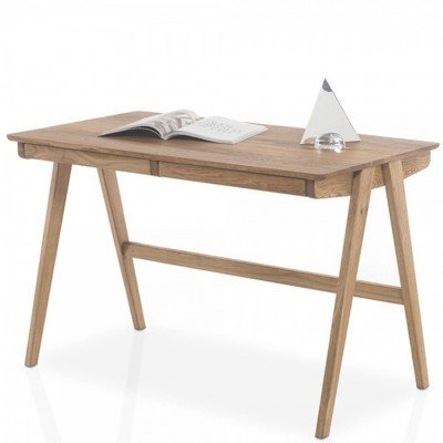 Delia Schreitisch Aktion tpls 001