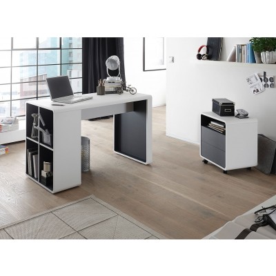 Tadeo Desk 001