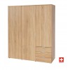 Bläuer Schrank 303 tpls 002