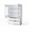 Cervo Vitrine 2 Türig 001