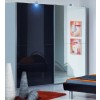save schran ral glas