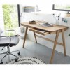 Delia Schreitisch Aktion tpls 002