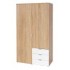 Bläuer Schrank 203 tpls 011