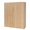 Bläuer Schrank 300 tpls 008