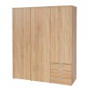 Bläuer Schrank 303 tpls 010