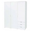Bläuer Schrank 303 tpls 009