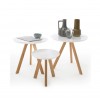 Sinio coffee table set tpls 003