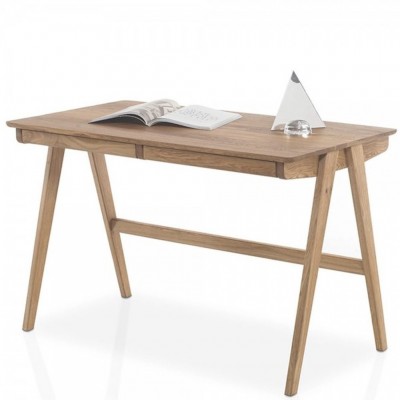 Delia Schreitisch Aktion tpls 001