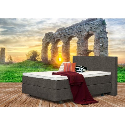 Florenz Dinova tpls 001