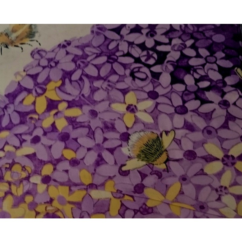 Belissima Schmetterling Biene