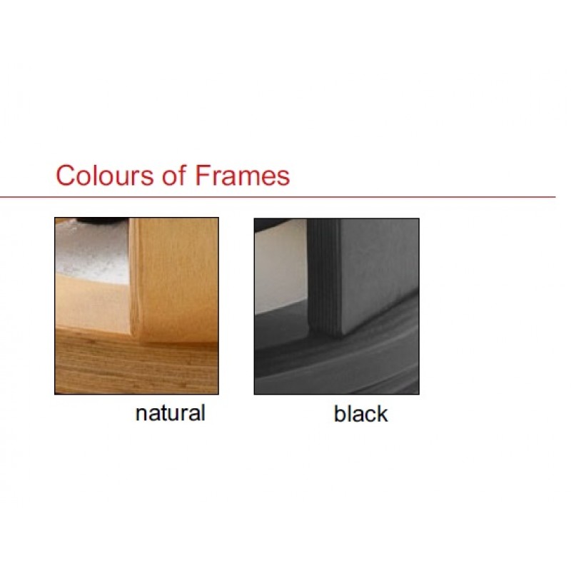 Calgary Elektro XL 004