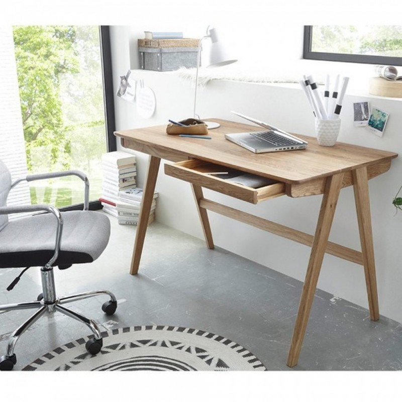 Delia Schreitisch Aktion tpls 002
